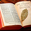 The Book